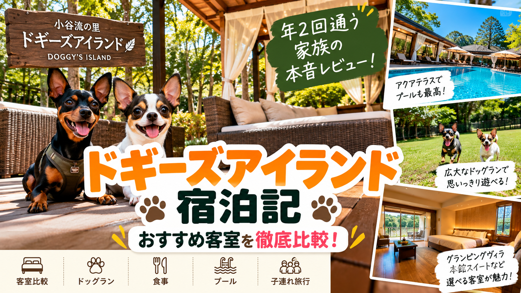 ドギーズアイランド宿泊記｜年2回通う家族が客室を比較！愛犬2匹と泊まった本音レビュー