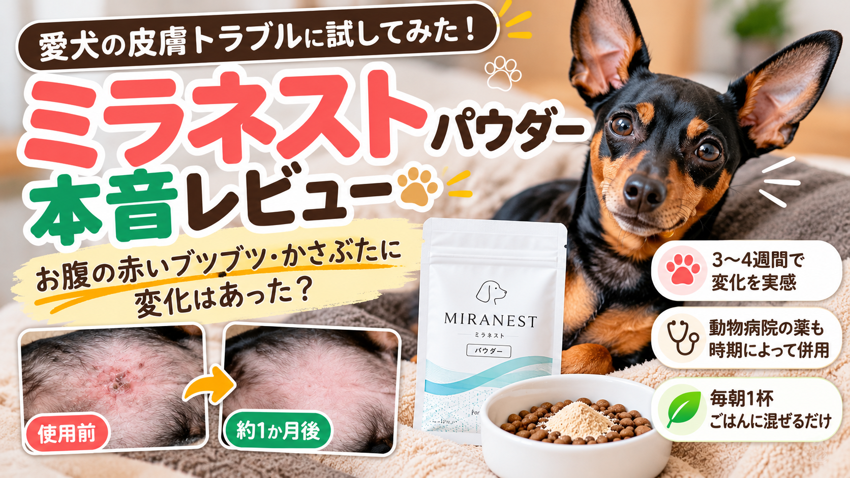 ミラネストパウダーを愛犬に使った本音レビュー｜お腹の赤いブツブツに変化は？