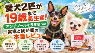 愛犬2匹が19歳まで長生き!アンチノールを5年使った実家と我が家の本音レビュー