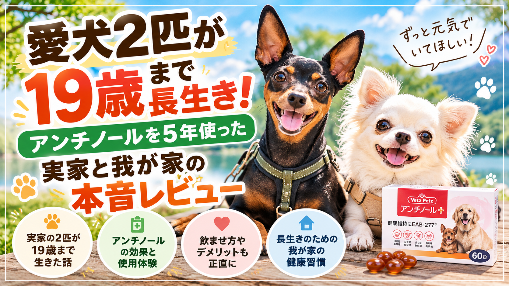 愛犬2匹が19歳まで長生き！アンチノールを5年使った実家と我が家の本音レビュー